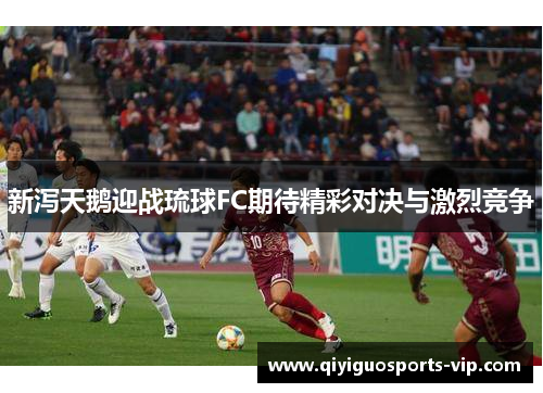 新泻天鹅迎战琉球FC期待精彩对决与激烈竞争