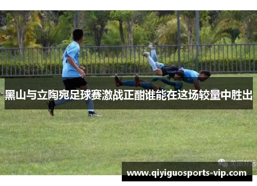 黑山与立陶宛足球赛激战正酣谁能在这场较量中胜出